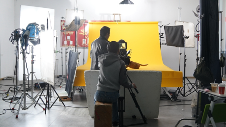 1646027279131058.png image.png