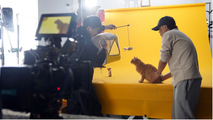 1646027350434531.png image.png